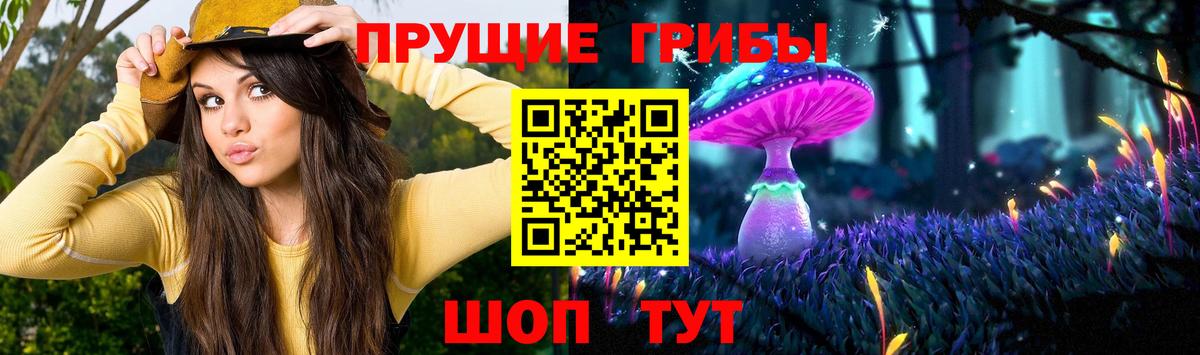 Галлюциногенные грибы мицелий  Вход с VPN  Верхний Уфалей 