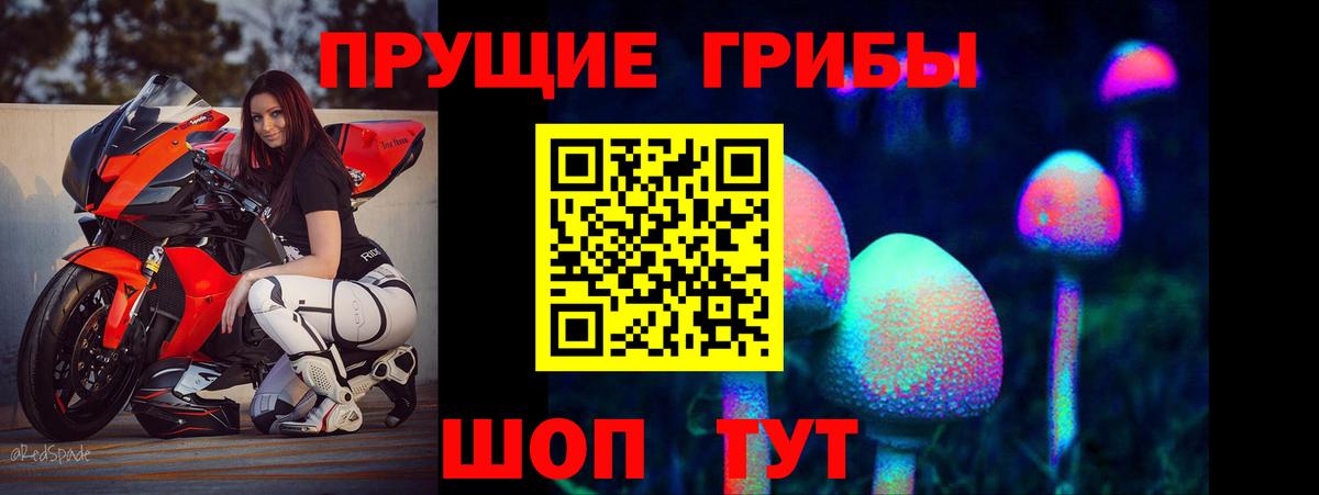Галлюциногенные грибы Cubensis Верхний Уфалей